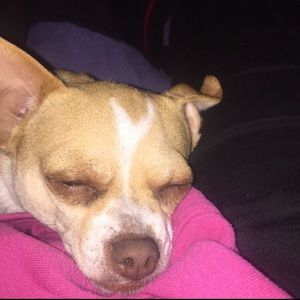 Meet your Posher, Lucia